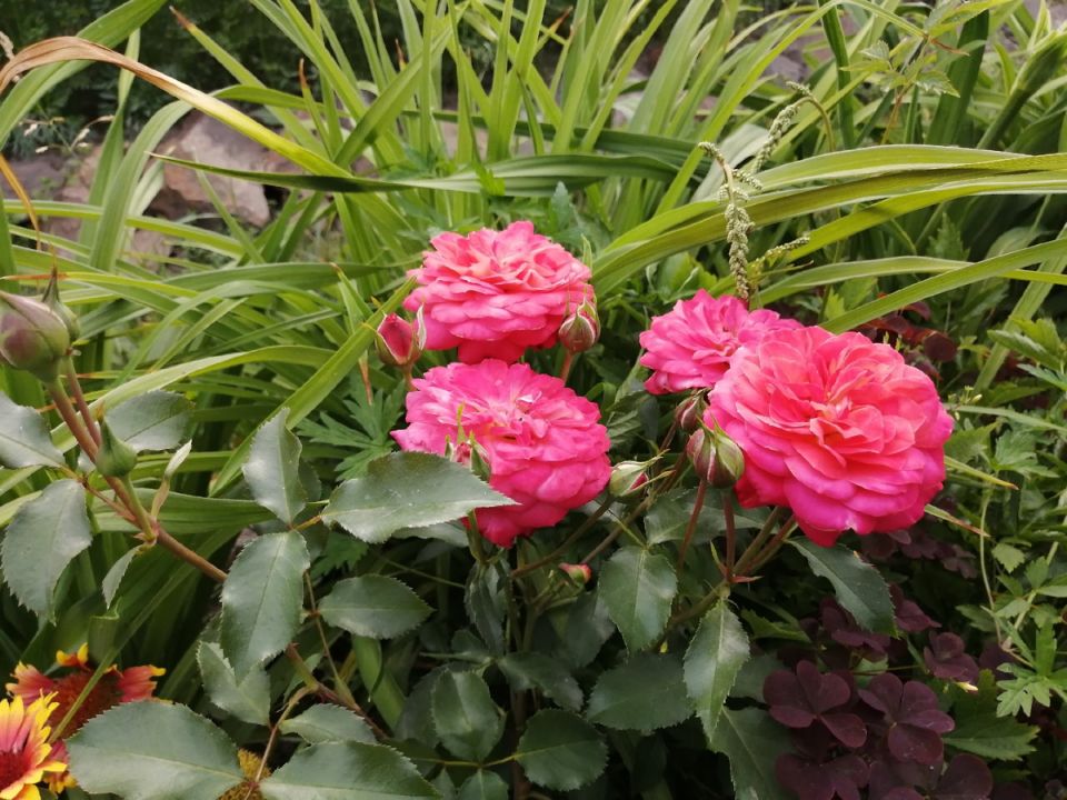 ��� �������� ������� ��������� ����: ������������ ������� �� ����