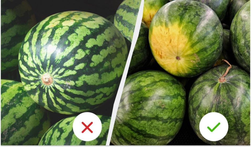 ��� ������� ������� �����: ������� ���������� ������