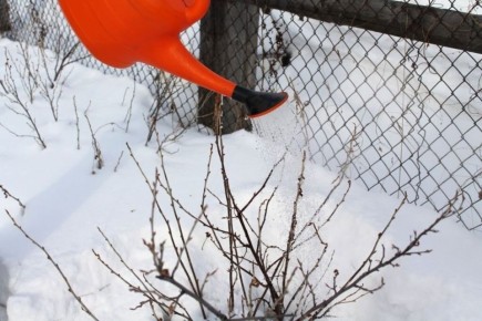 ������� ��� ��� ���������: ��� �������� ������ ��� �������� ������