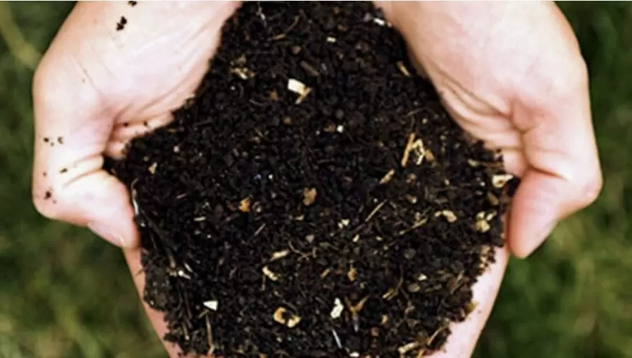 Органические удобрения: как извлечь максимальную пользу и избежать ошибок