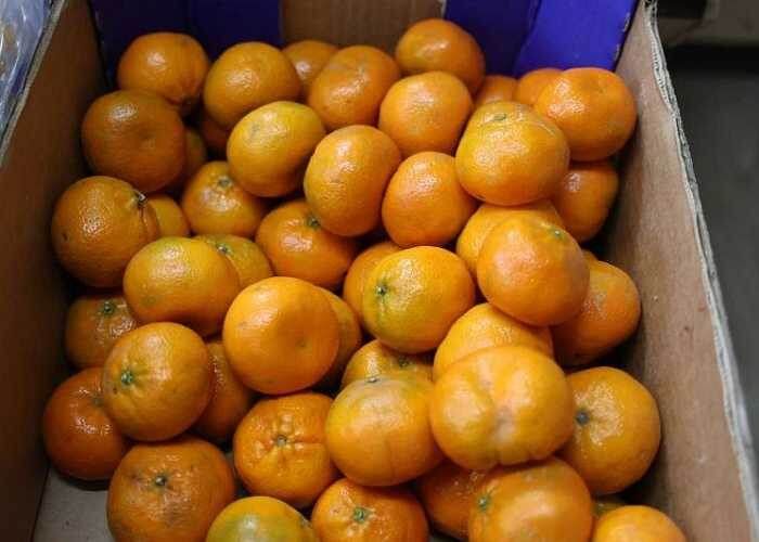 �� ����� ���� �������� 36 ���� ��������� ���������� � ���������