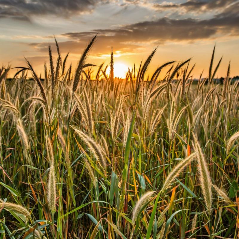 ��� �������� ���������� �� ����� �� ������ �������: ��������� ����������