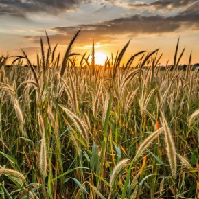 ��� �������� ���������� �� ����� �� ������ �������: ��������� ����������