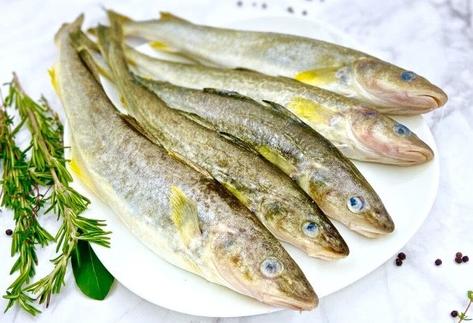 ������: ������������ ���� ��� ���������� ��������