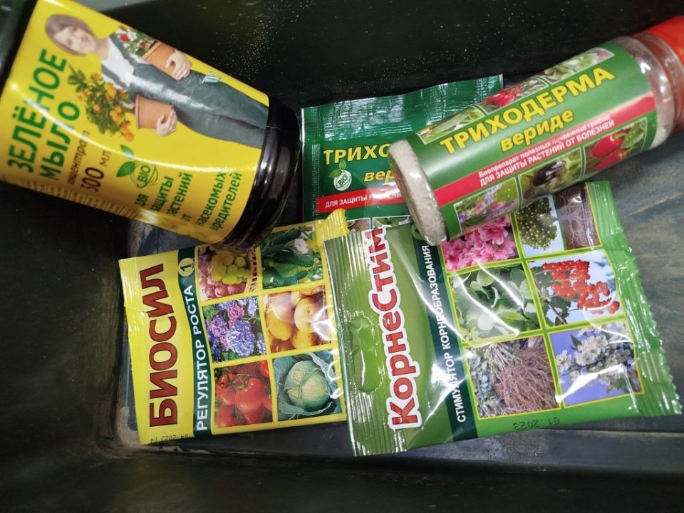 ������� ��� �������: ���� ������������ ������� ��� �������� ��������