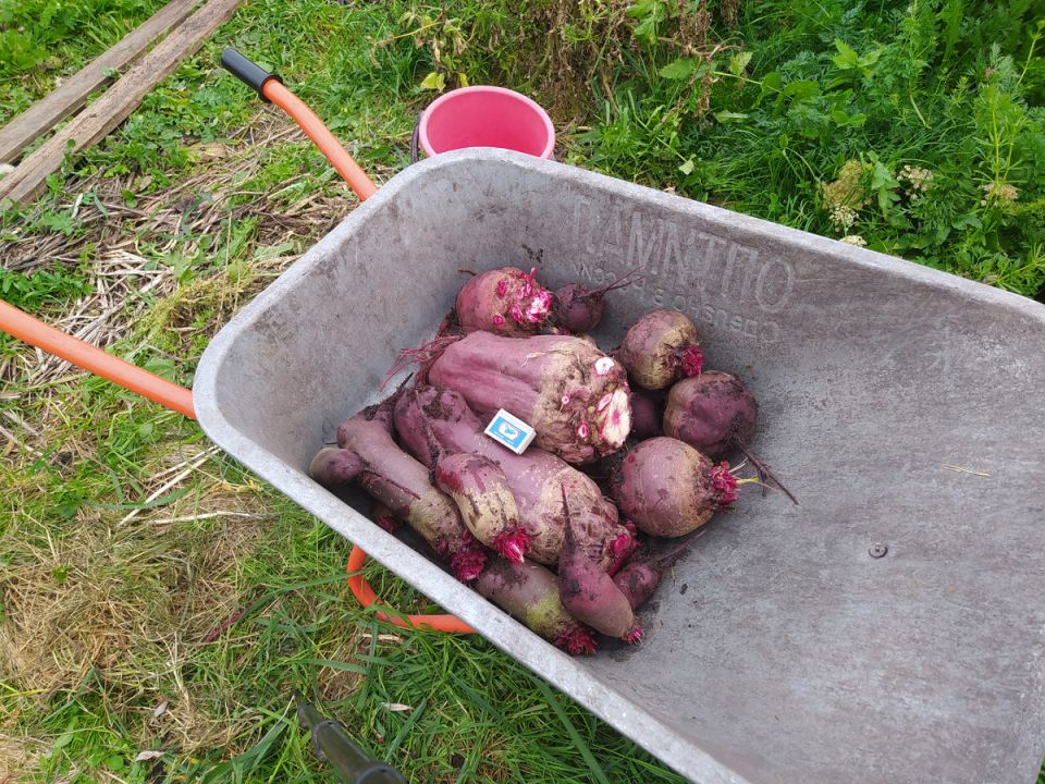 ��� ������ � ���������� ���� ����� �� ����: ������ � ������������