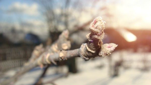 ��� ��������� ������������� ������� ��� �������� ��������: ������� ��������