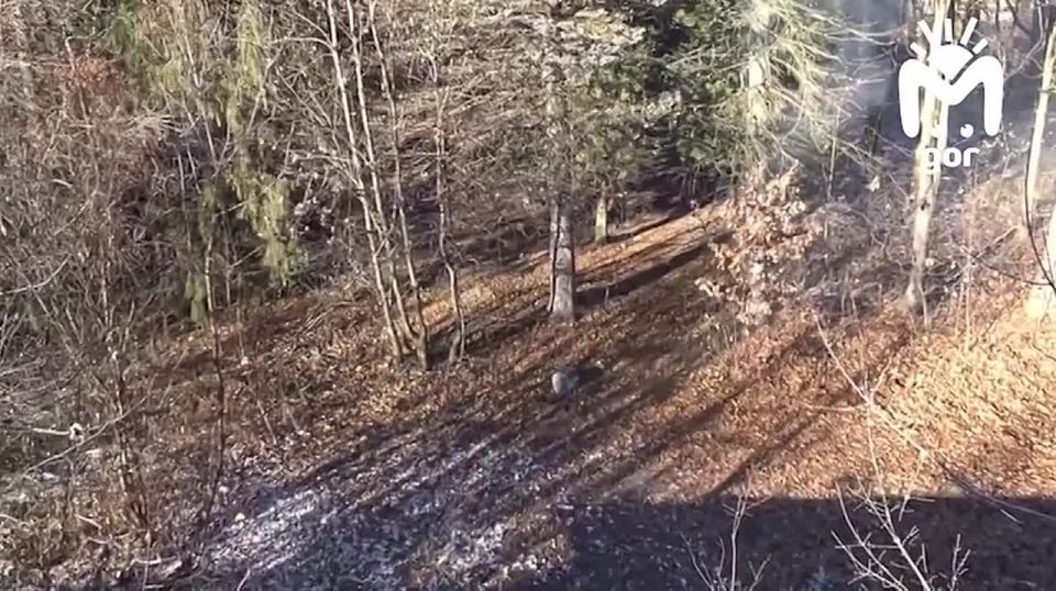 ��� ��������� ����� ������������� ������������ ������������ �����������, ������� ���������� �� ������ �� ������������