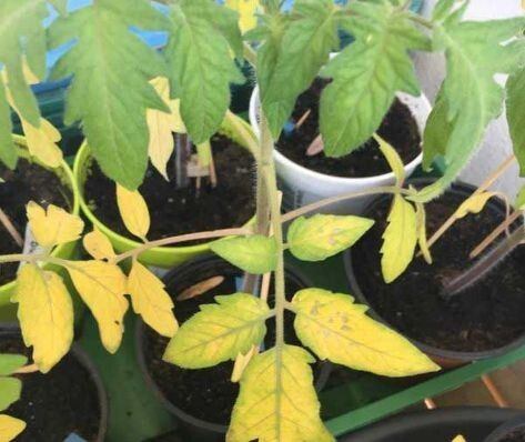 ��������� ������ � ������� �������: ��� ������ �������� �� ����