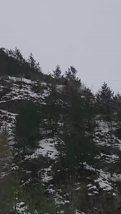 ����������� ������� �������� �������� ������ - ���������������� ����� ��������-����������������� ������ �� ����� ��������������� � ������ ����� ����������� ������ �������� ������