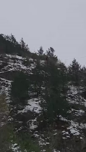 ����������� ������� �������� �������� ������ - ���������������� ����� ��������-����������������� ������ �� ����� ��������������� � ������ ����� ����������� ������ �������� ������