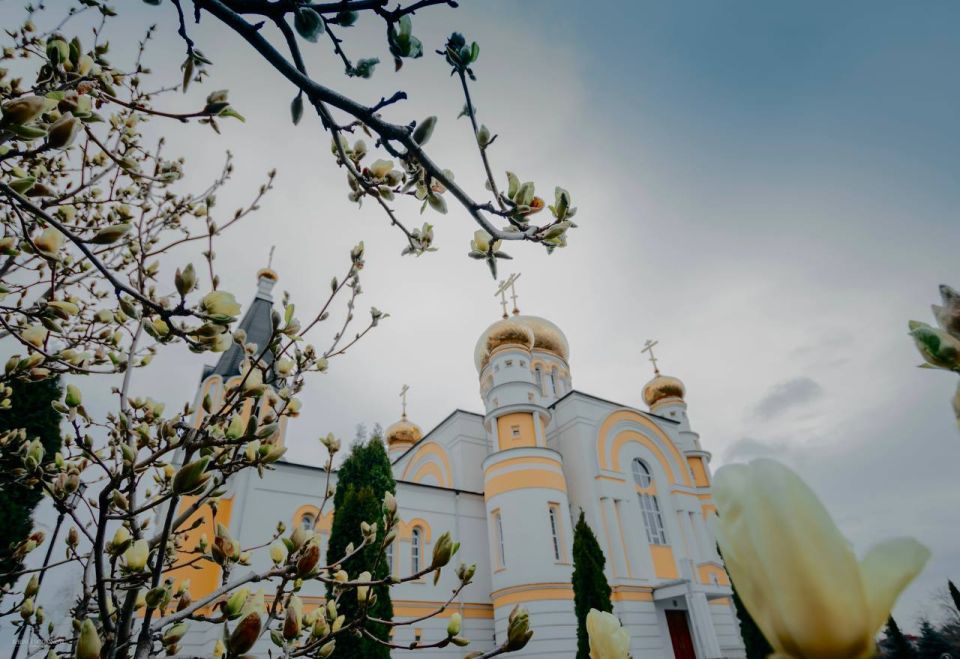 �������� ����������: ������������ �������� �������� ���������� �� ������� ���������� �����! ������� ������!