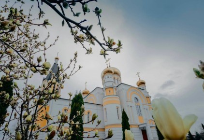 �������� ����������: ������������ �������� �������� ���������� �� ������� ���������� �����! ������� ������!