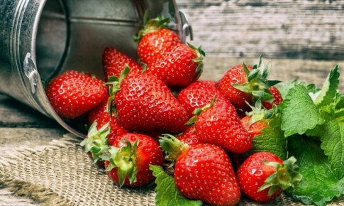 Уход за клубникой осенью: секреты успешной зимовки