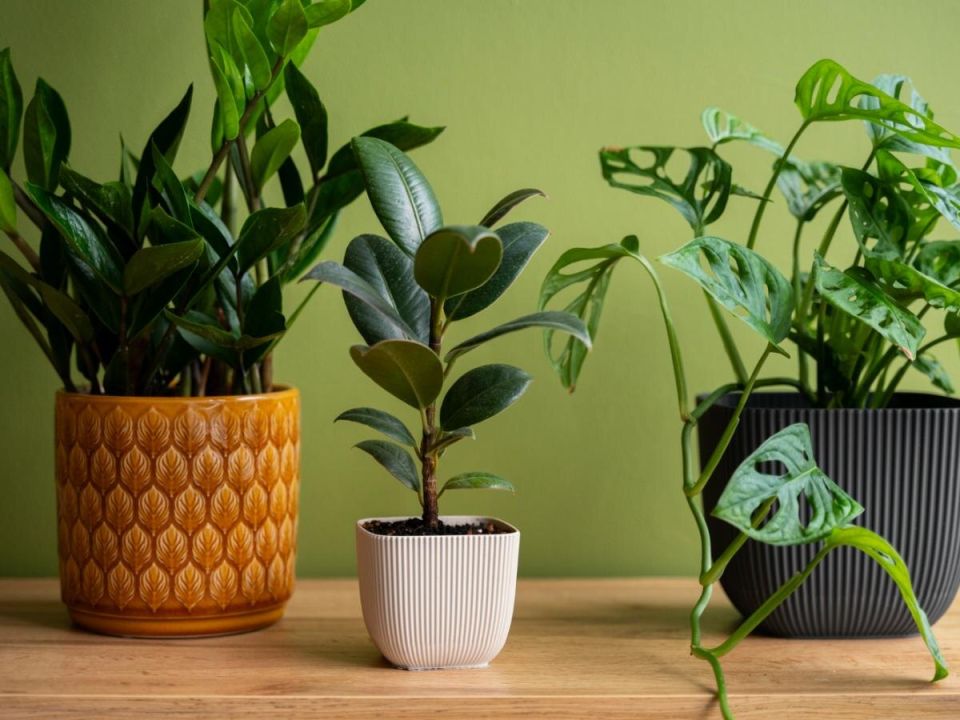 ������ ������� ������� � ���������� ����������, ������� �� ����� ��������