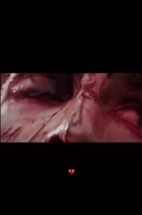 �� ��� ���� � ���� � ������� ����