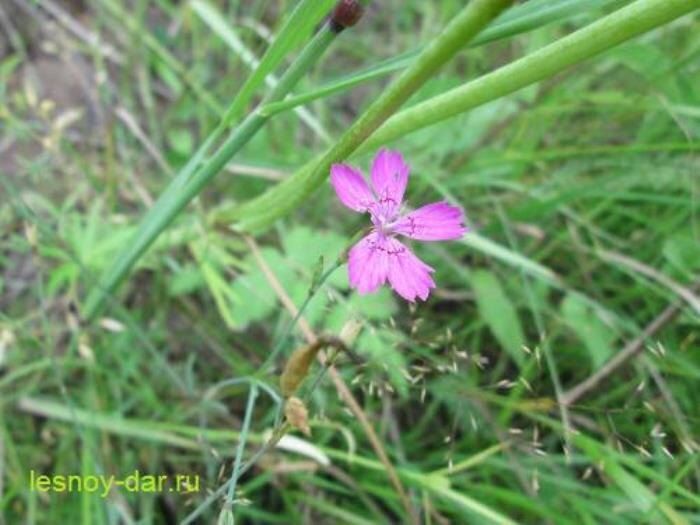 �������� ��������: ���������� ������� � ����� ����