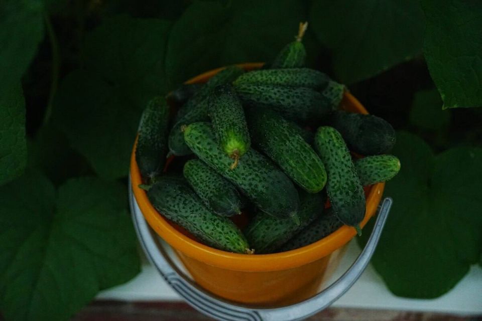 ������ ������ �� ������? 10 ������, ����������� ���������� ������