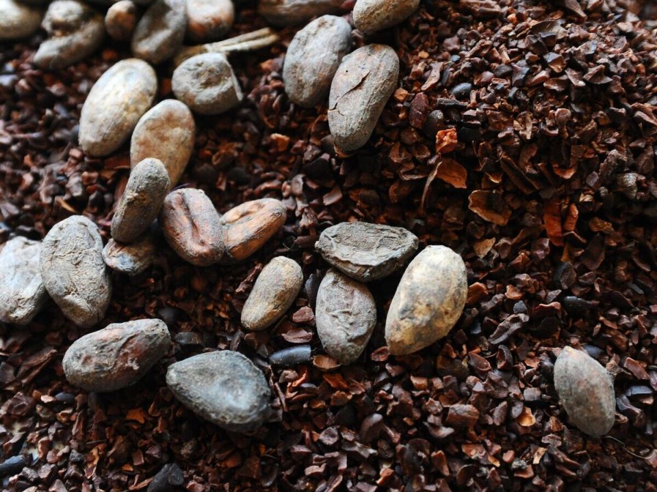 ���� �� �����-���� ���������� ���������� ���� 3700 �������� �� �����