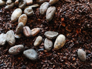 ���� �� �����-���� ���������� ���������� ���� 3700 �������� �� �����