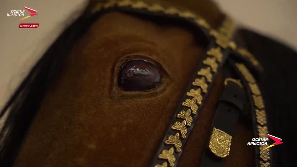 ������� ��� ������� ������ ���� ��?