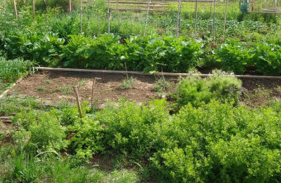 ������� � �����: ��� �������� ����������� ������� �� �������