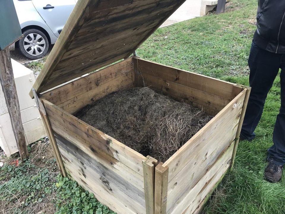 ����� �� ������: ������� ����������� ��������� ������ � ��������� ��� ������ ����