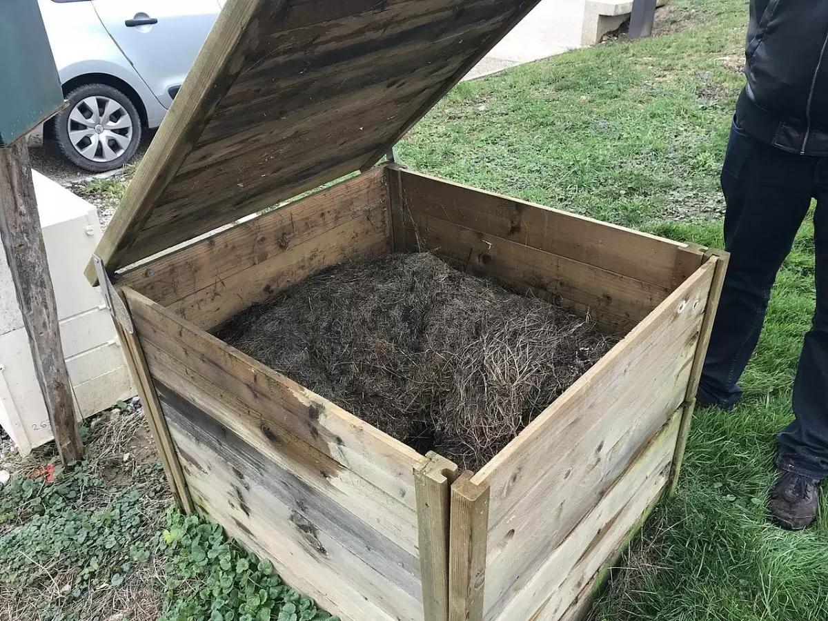 Трава на пользу: секреты превращения скошенной зелени в удобрение для вашего сада