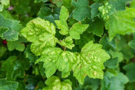 ���������� ����� ������ ������ � �������� ��� �� ���������