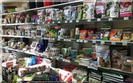 ��� ���������� ��������� ������: ��������� � ��������� ��� ��������