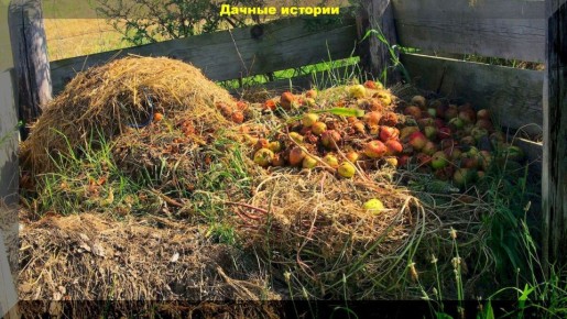 ������� ���������������: ��� ��������� ������������� ������ ������ � ��������� ������� �����