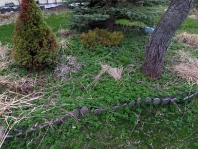 ��� �������������� ���� �� �����: ������������ ������ � ����