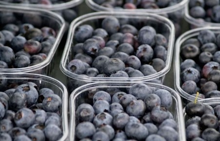 ������� �������� ��������: ��� ��������� ����� �� ������