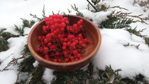 ���� ������: ������� ������� ��� �������� � ��������