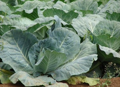 ������ ������� ����� ������� ���������� ���������� ���������� ����� ���������