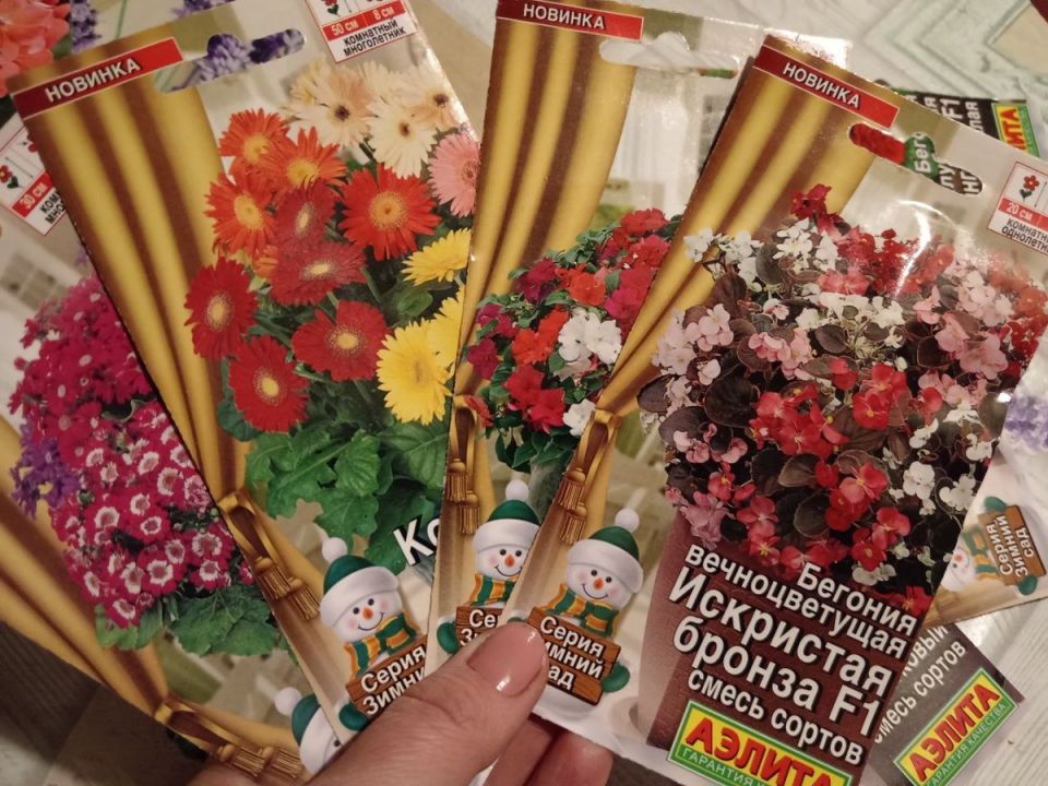 Секреты зимнего сада: какие цветы посеять в декабре