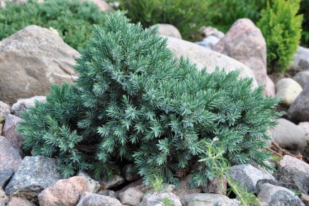 ��� ������� ������������ ��� ��������� �������: ������ ����� � ������ �� �����