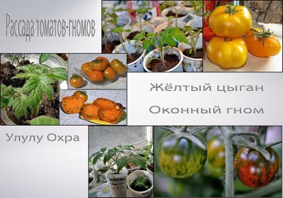 �������� ������, ������� �� ������������ � ������ �������