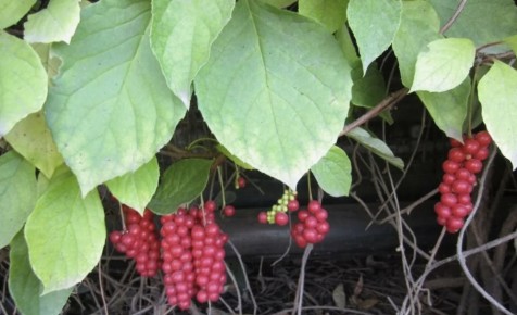 �������� ���������: ��������� ����� � �����