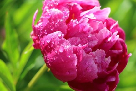 �������� �����: ��� ��������� ������������� ����� ��� ��������������� ��������