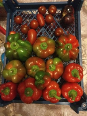 ������ ����: ��� ������ ������������ ������ ��� ������ ������