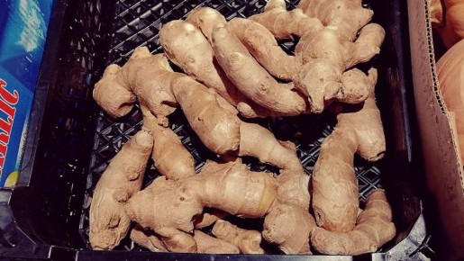 ����� ������� ������ �����? ����� ��������� �����!