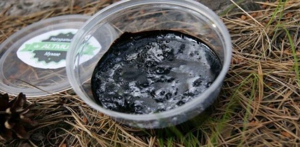 ����: ������ ������ ���� � �� ������������ �������� ��������