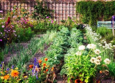 ����� ����� � �����������, ������� ������ ������ ���� �����