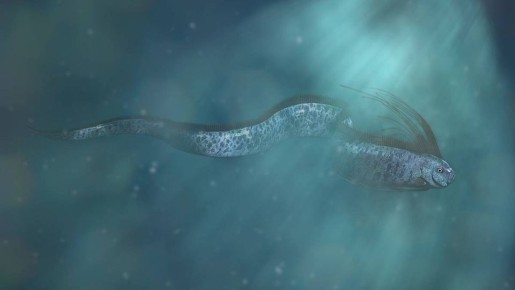 ���������� ����� ������� ���� ��������� �� ������� ��������