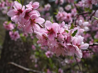 ������ ��� ������ �� ����������? ������� �������, ������� ������� ������� ������