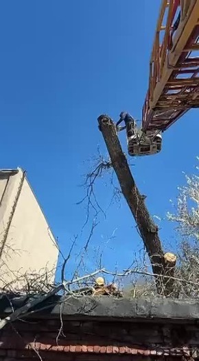 ����������� �������. �� ��������� ������ ���������� ���������������� ��������� ��������� ������: ���������� ����� ������ � �����������;