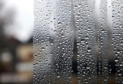 ��� ��������� ����� �����: ������ ��������� �� ������ � �������� � �����������