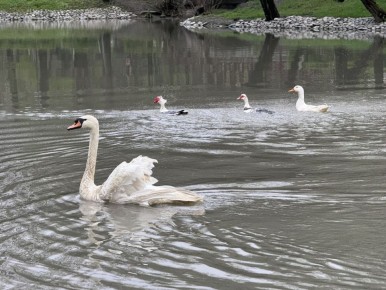 ������ � ���� ��������� � ����������� ����