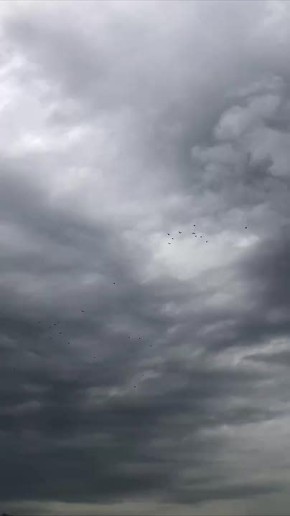 ������ ����, ������!. �� ������������ ��������� ��������� ������, ����������� ������� 95% ����������� +3� +13� �15-� ������� ������ ���� ����������� ��� � ������������ ������� ������! @region15_ru